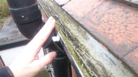 We did not find results for: How To Repair A Leaking Joint 3 - Low Cost Gutter Cleaning ...