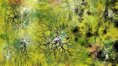 Wallpaper Sunlight Painting Forest Digital Art Abstract Nature