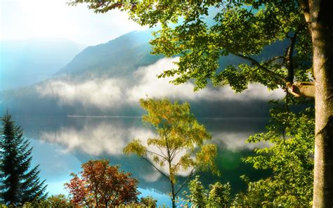 Nature Scenery Mountains Forest Trees Lake Mist