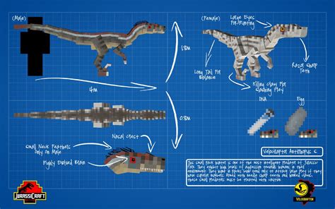 Jurassicraft Velociraptor 6minecraft