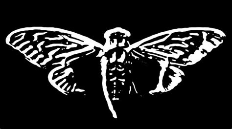 Cicada 3301 left a series of clues in major cities around the world, and referenced books harkening back to ancient occult mystery schools and connecting it to modern day technologies and existentialism. Най-голямата нерешена мистерия на интернет - кой стои зад ...