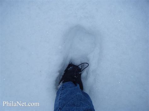 Foot Deep Snow