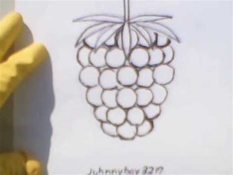 Add more detail, add the table. How To Draw A Blackberry Or Raspberry step by with pencil ...