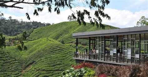 Book a room at genting highland in genting highlands, malaysia. Sejarah Pembukaan Cameron Highlands, Pusat Pelancongan ...