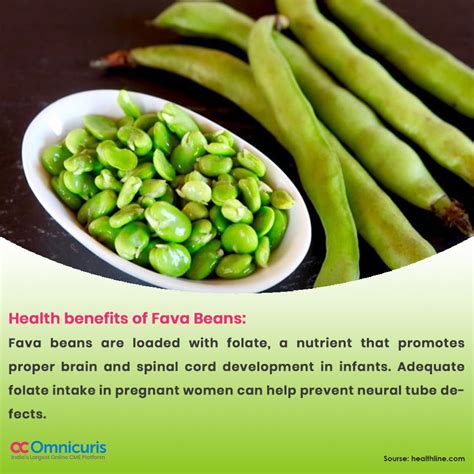 health benefits of fava beans health food health benefits nutritious