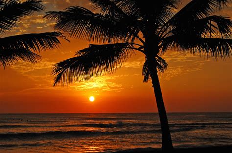 Hawaiian Beach Sunset