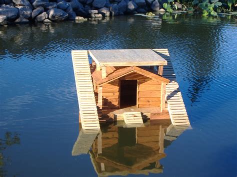 Wood duck management in alabama cooperative extension system. Custom Floating Duck Houses | Custom Ac Heated Insulated ...