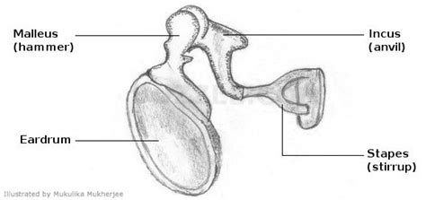 Maybe you would like to learn more about one of these? Sense of Sound on emaze