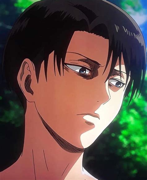 Jun 23, 2021 · attack on titan came to an end earlier this year with its manga, telling the final story of the scout regiment, and while the conclusion was as dark as the rest of the series created by hajime. 🔳 ️Captain Levi Ackerman ️🔳 | Wiki | Attack On Titan Amino