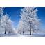Snowy Winter Wallpapers High Quality  Download Free