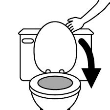 5 out of 5 stars. Image result for put the toilet seat down sign | Toilet ...