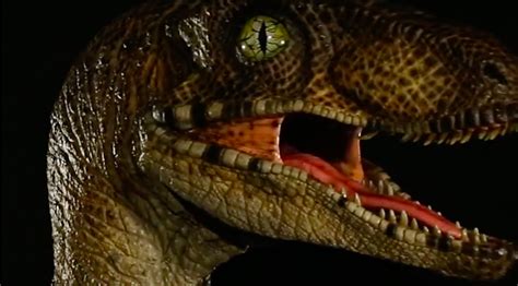 Take Home Your Very Own Full Scale Jurassic Park Raptor Head Inquirer