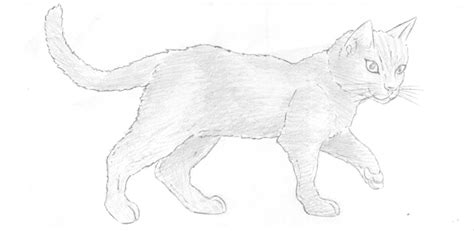 Apprenez à dessiner un chaton kawaii de manière simple. comment dessiner facilement un chat