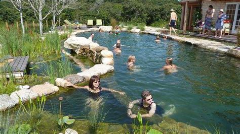 Natural Pools The Pros And Cons Of Going Au Naturel