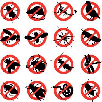 Spiders can be problematic for columbia residents, as several kinds of spiders, including black widows, are found in maryland. What A Rodent Infestation Could Mean For Your Health | All ...