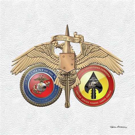 Marine Special Operator Insignia Raider Dagger Badge With Usmc And
