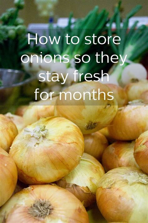 How To Store Onions So They Stay Fresh For Months Storing Vegetables