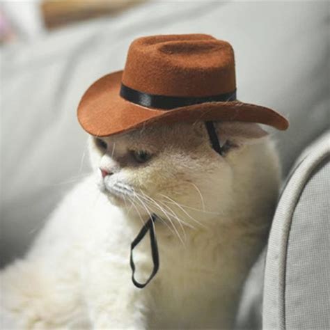 Meow Meow Western Cowboy Hat Pet Custom Cat Hat Mini Etsy