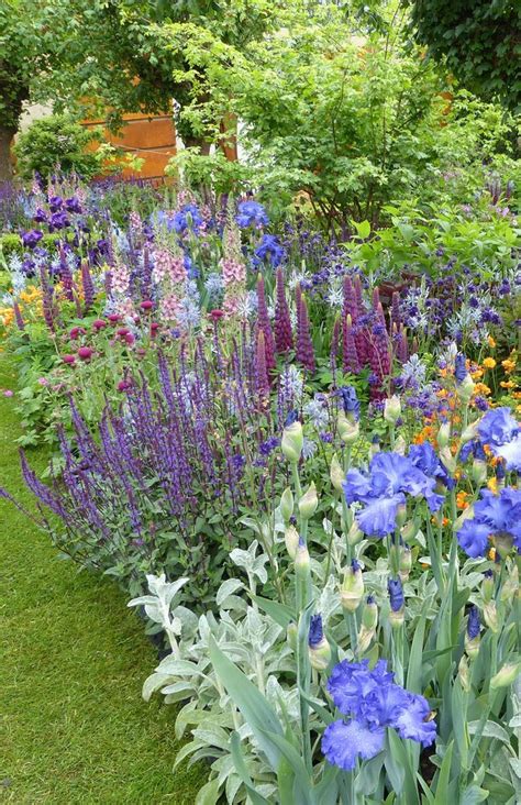 Pink ist eine farbe die von vielen geliebt wird. Fantastische Bepflanzung im Garten der Healthy Cities ...