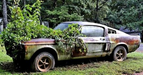 Sad Pictures Of Abandoned Classic Cars