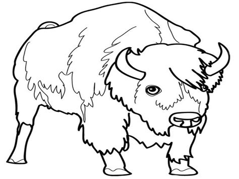By best coloring pagesdecember 14th 2015. Carabao Coloring Pages at GetColorings.com | Free ...