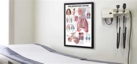 Respiratory System Exam Room Anatomy Poster Clinicalposters