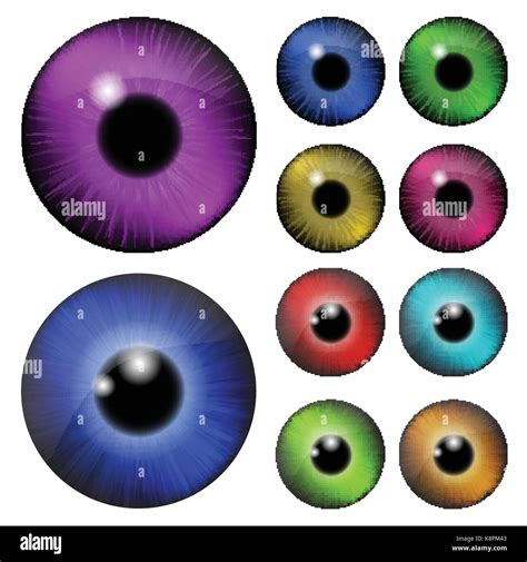 Set Of Pupil Of The Eye Eye Ball Iris Eye Realistic Vector