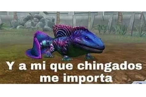 Maybe you would like to learn more about one of these? Memes atacan a Regina y despiden a Addy de MasterChef | e ...