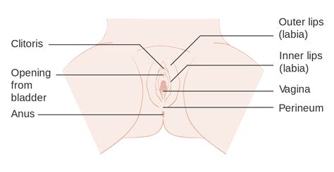 The female world is a completely and entirely different universe. What does a yeast infection look like? The 4 classic signs to look for