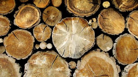 Wallpaper 1920x1080 Px Closeup Texture Timber Wood Wooden