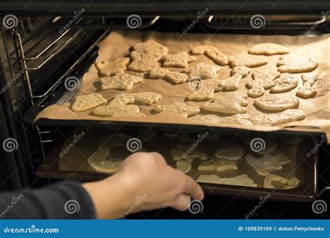 Woman Puts Cookies In The Oven Stock Image Image Of Home Helping