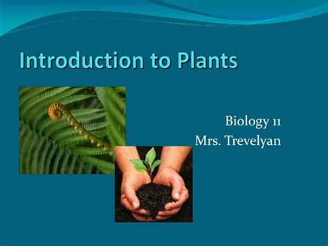 Ppt Introduction To Plants Powerpoint Presentation Free Download