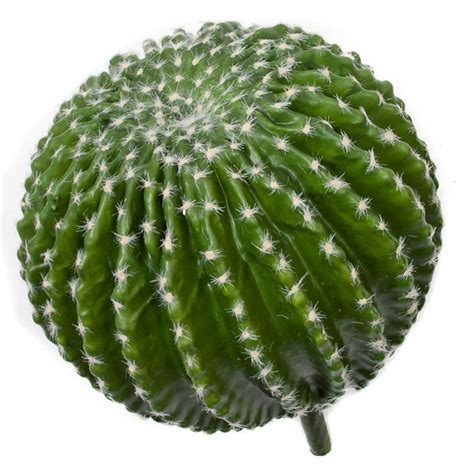 It have 4 inch sized thick spines within it's body. ** ARTIFICIAL CACTUS ** 13" Plastic Barrel Cactus with ...