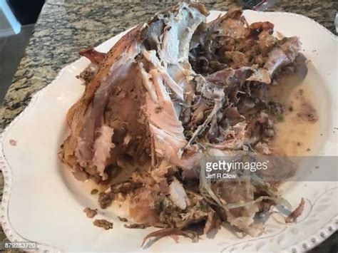 Thanksgiving Turkey Bones Photos And Premium High Res Pictures Getty