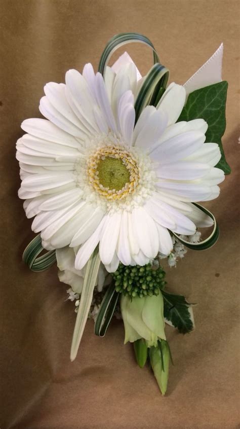 Bestellen sie günstig ihre gerbera samen zu großhandelspreisen. White Gerbera corsage Ladies corsage / handbag spray # ...