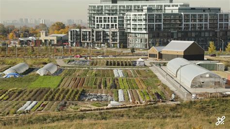 What is an urban farm and why are they so important? - gardenstead