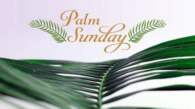 See more ideas about palm sunday, sunday messages, happy palm sunday. Happy Palm Sunday 2020 HD Images and Wallpapers For Free ...
