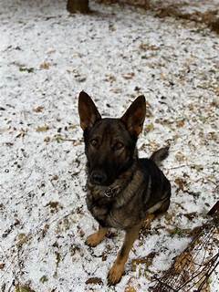 Amador Sheriffs Department