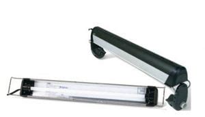 The thick plants are great to form the best cover your fish could possibly even the low light conditions, it will always easily grow to create a living wall in the aquarium. Best Fluorescent Lights for Growing Aquarium Plants