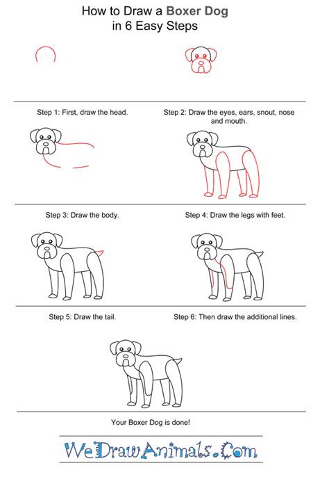All we need now is a happy home for the canine friends. How to Draw a Simple Boxer Dog for Kids