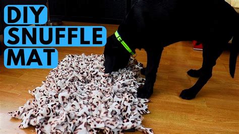 Snuffle mats are often used as a scenting game to sniff and search. How to Make Dog Snuffle Mat DIY - YouTube