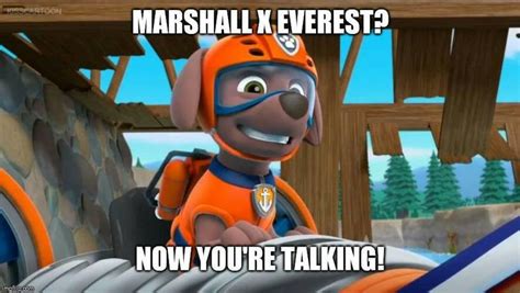 Marshall X Everest Meme By Dreambertgamer On Deviantart Marshall