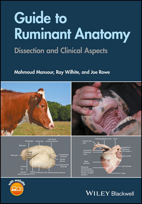 Guide To Ruminant Anatomy Dissection And Clinical Aspects Wiley Blackwell Librairie Vetbooks