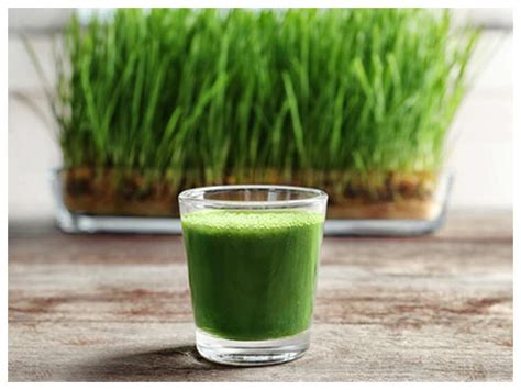 Wheatgrass Juice Health Benefits Why Wheatgrass Juice Is Better Than Other Health Drinks