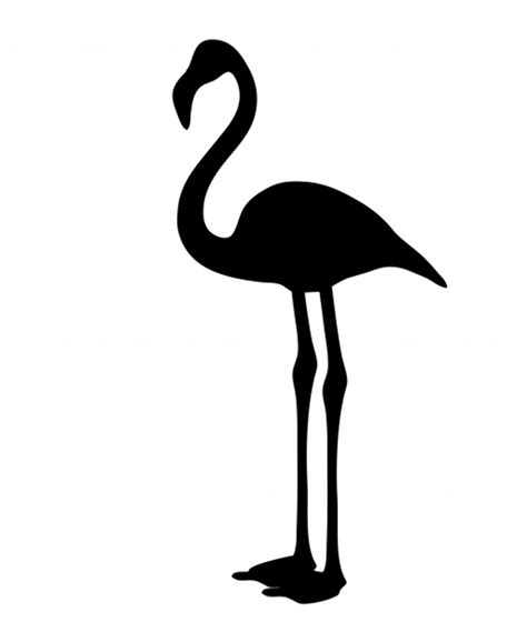 Download High Quality Flamingo Clipart Black Transparent