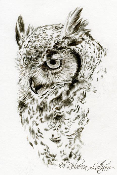 Bildergebnis für eule art Owls Drawing, Bird Drawings, Animal Drawings