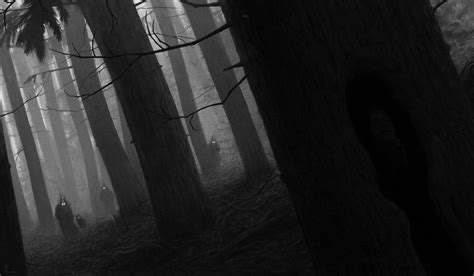 49 Dark Scary Forest Wallpaper