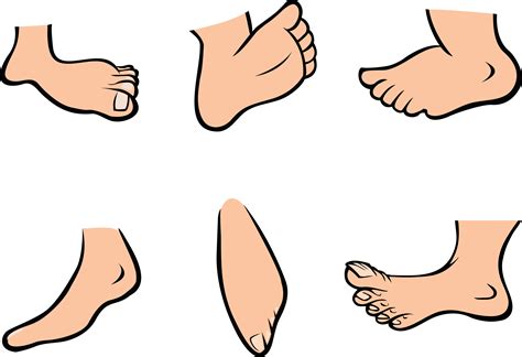Foot Cartoon Pictures Of Feet Clipart Clipartix