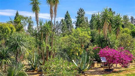 Bitte beachten sie gesonderte hinweise beim besuch der. Der Ökologisch Botanische Garten in Bayreuth | ÖBG