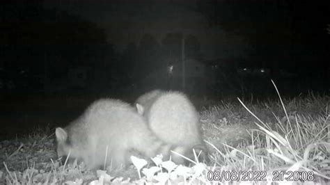 Family Feast 1 - YouTube